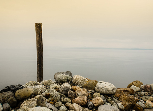 手机号轰炸机网页版