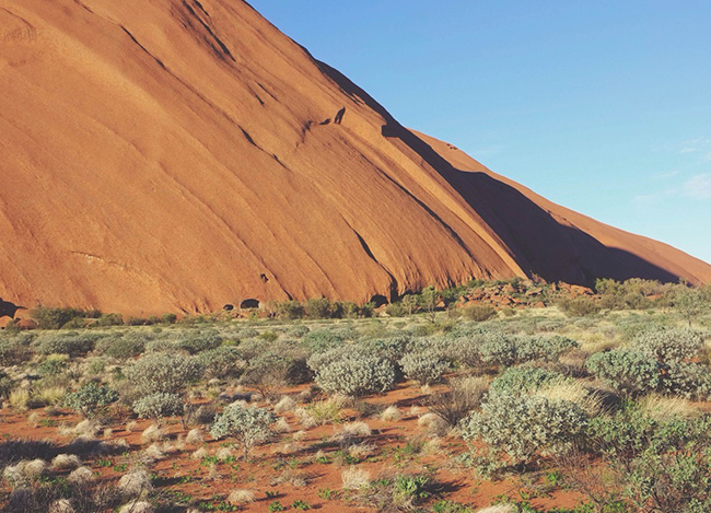 手机号轰炸机网页版